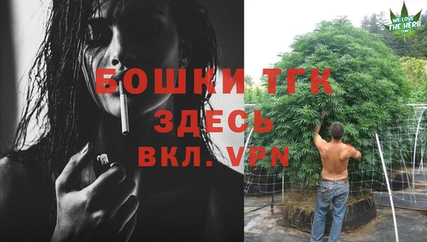спиды Абаза