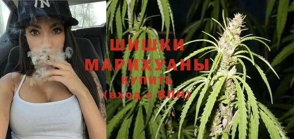 шишки Нязепетровск