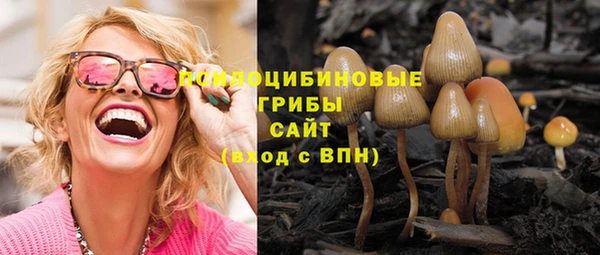 дживик Алексеевка