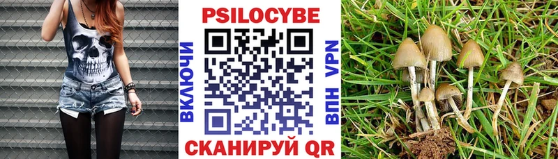 MEGA маркетплейс купить наркоту Конаково Псилоцибиновые грибы MAGIC MUSHROOMS